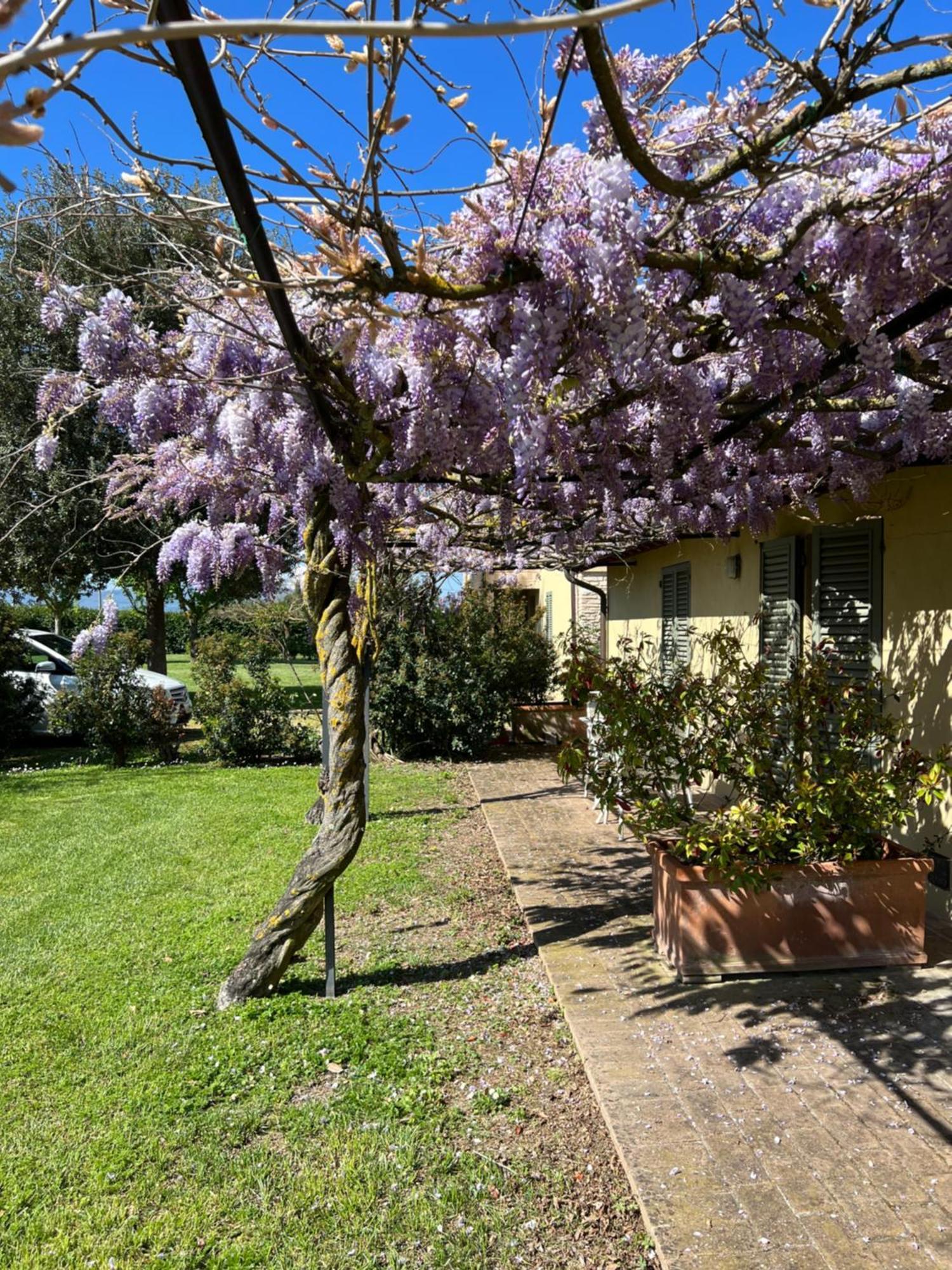 Gasthaus Residenza Isabella Spello Exterior foto